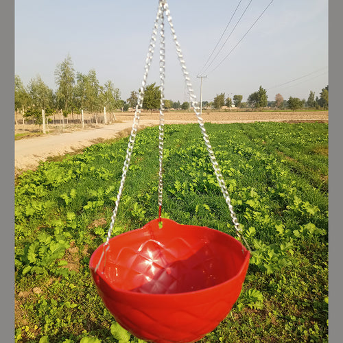 Chain Hanging Baskets colorful shinny design | 1 piece price with iron chain and water stopper